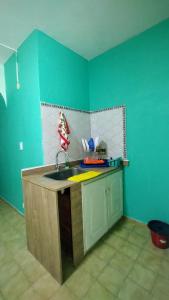 Departamento céntrico