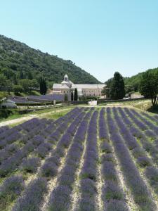 Maisons de vacances Maison de charme au coeur du village de Gordes : photos des chambres