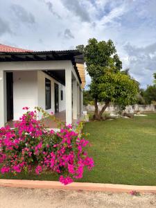 Beachscape At Black River Zermatt