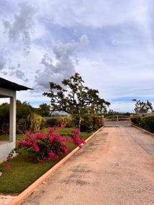 Beachscape At Black River Zermatt