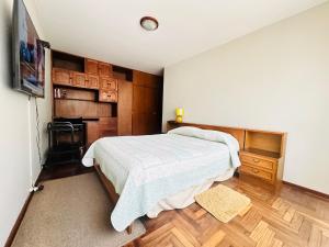 Arequipa Great Mini Apartment