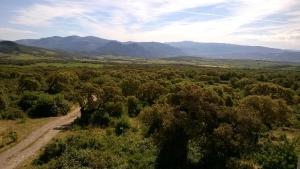 Country House Mura Mura