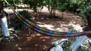 Casa Palacio de López