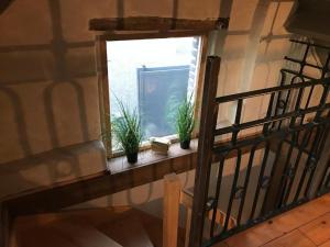 Appartements Gite charmant avec climatisation, parking et terrasse privee pres de Saint-Amand-les-Eaux - FR-1-510-147 : photos des chambres