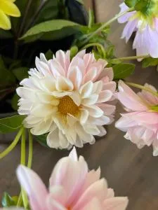 Serendipity Cottage Farm Stay - 布罗利