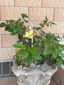 Villetta Spaziosa con Esterni - Torre San Giovanni