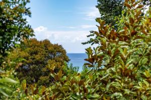 Seaview Dromana -the mountain meets the sea