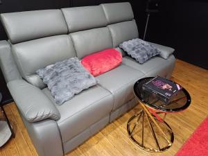 Villas Sweety-s Eden Jacuzzi - Spa prive Sauna Cinema room Jardin - Terrasse centre-ville : photos des chambres