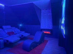 Villas Sweety-s Eden Jacuzzi - Spa prive Sauna Cinema room Jardin - Terrasse centre-ville : photos des chambres
