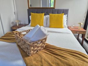 Urban sun in Broadway Sydney