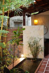 Ann Homestay Retreat Hồ Tràm