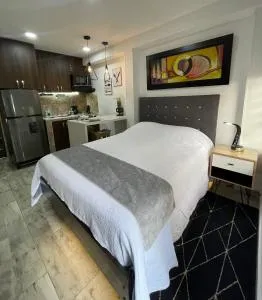 Cozy & Stylish Private Studio 201 - La Dolores