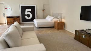 Downtown collection apartments