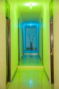 Maisha Lodge - Dimbuni