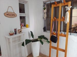 Casa de dos dormitorios en villa adela a 10 minutos del centro para 7 personas se aceptan mascotas