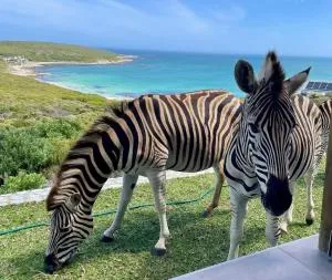 Zebra Views - Romansbaai Luxury Retreat - Goudiniweg