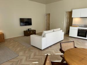 Downtown collection apartments