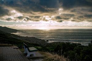 Welsh Whales - De Kelders Getaway