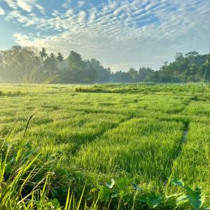 Luxury Villa Galle 4Bedr 5KS Bed