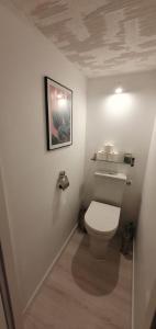 Appartements Maison Le Baron 13pers Tiffauges proche Puy du Fou : photos des chambres