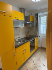 Traunkai Apartments - Zimnitz Blick