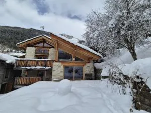La Masure Magnifique chalet - proche domaine St Foy - Villaroger