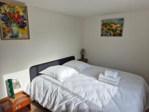Appartements Le Pont Bas bord de riviere proche Puy du Fou : photos des chambres
