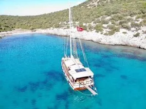 Saraçoğlu vip bodrum - Torba