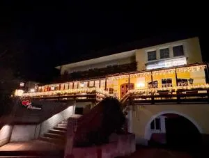 Austria Traveller Hotel Lenzing - 施奥弗灵