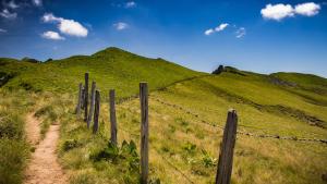 Chalets Chalet O Mont Dore : photos des chambres