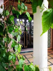 Hôtel Ayachi - Kasbah