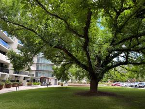 Modern quiet two bedroom apt in Canberra City