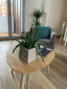 Terrasse vue cathédrale et beffroi hyper centre