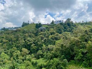 Apto nuevo, tranquilo y central