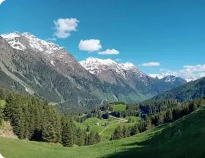 Chalet San Bernardino - Soazza