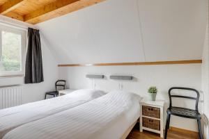 Goudhaan I Fijne Accommodatie met Openhaard