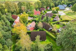 Goudhaan I Fijne Accommodatie met Openhaard