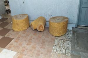 Monoambiente Ampliado