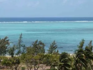 Case Corail Bleue - Mt Bois Noir