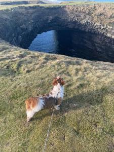 Cois na mara bridges of Ross V15 T677