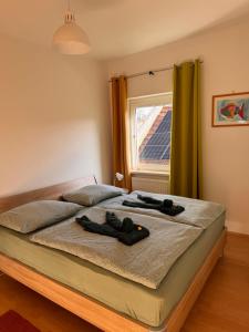 Apartment Regina, gratis W-Lan