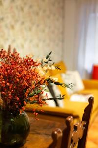 ZENO 13 Paradiso - Casa Verde