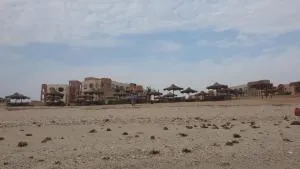 امواج عيون - 莎尔玛