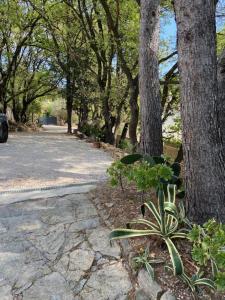 NOUVEAU ! VILLA LORANA Entre mer et Vignes