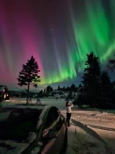 Løstegård Cabins - Gol