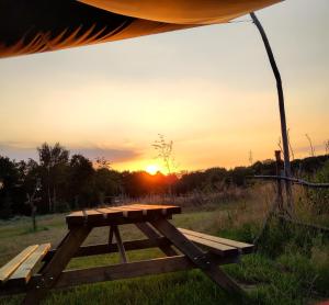 Tiny house met privé hottub