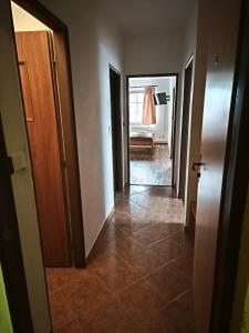 Studánecký Medvěd