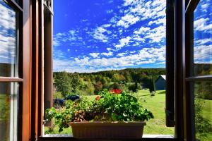 HOUSE FLORA Entrance 1