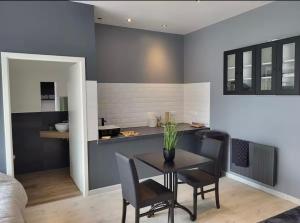 Appartements Le Grand Studio Centre Gare : photos des chambres