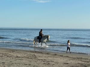Maisons de vacances Familienidyll mit Pool nahe am Mittelmeer : photos des chambres